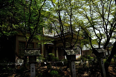 1005061153_DSC_6664