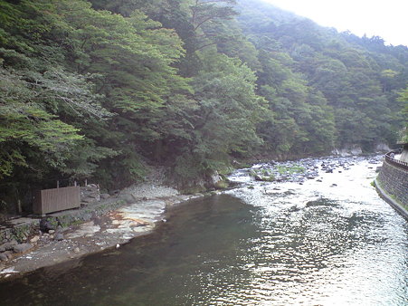 CA390665