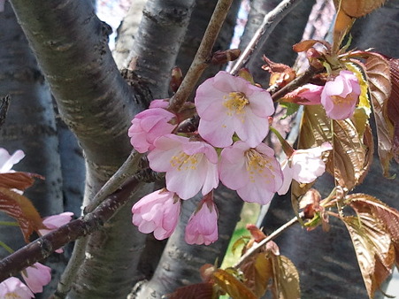 2011-05-05 06