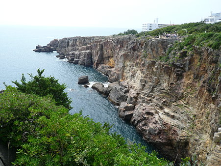 P1010631