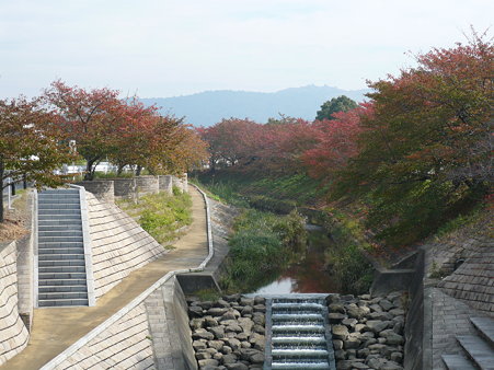 P1020224