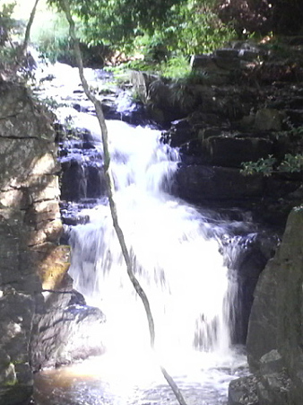 P1000601