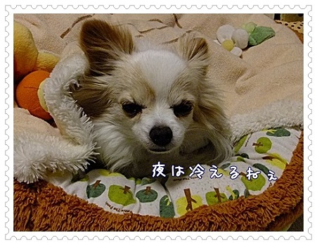 冷えるね
