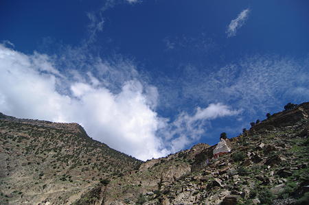 IMGP8521