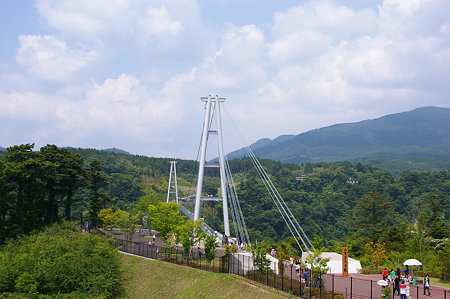 IMGP8484
