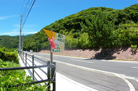 IMGP4335