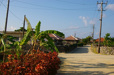 IMGP0901