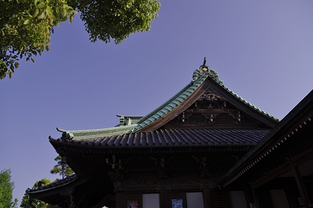 帝釈堂 (8)
