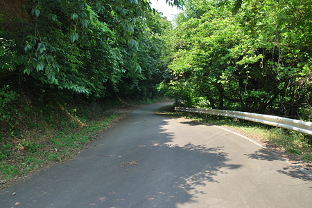 志積トンネル旧道