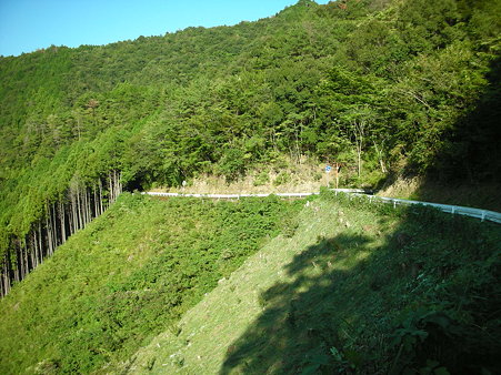 R439杓子峠北2