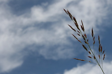 秋の空