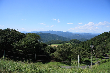 2009091328