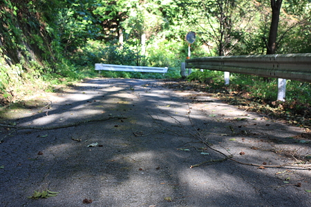 2009092021
