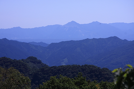 2009092078