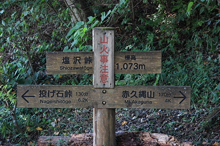 2009092081