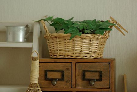 20090619_150456